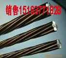 预应力钢绞线 现代工程的脊梁——产品详解与电子样本指南